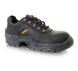 Zapato