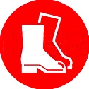 Calzado